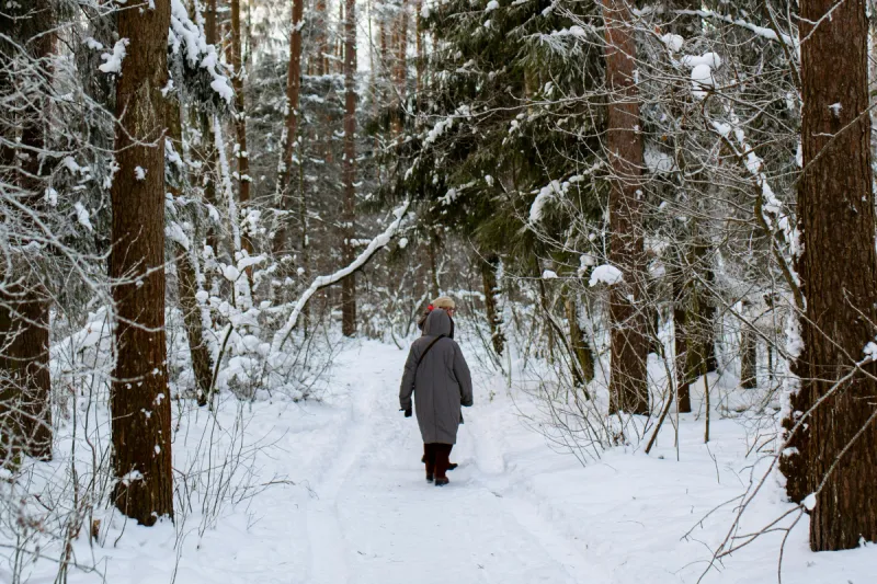 Zimowe spacery w urokliwej okolicy