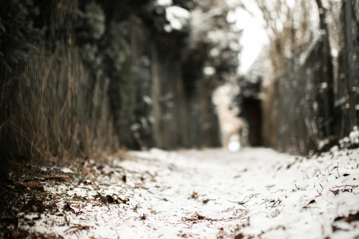 Zimowy odpoczynek dzięki kontakcie z naturą